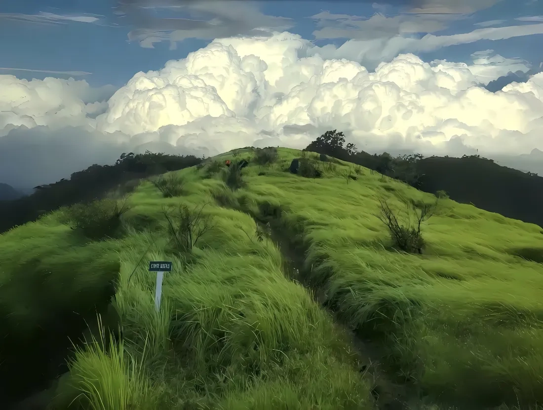 VPS部署个人博客